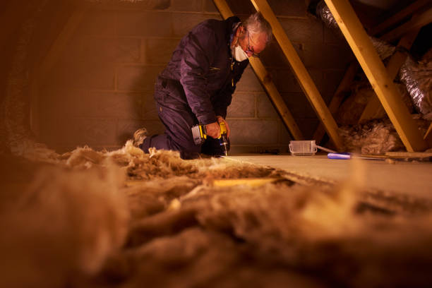 Best Types of Insulation in Rio Vista, TX